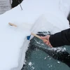 AUPROTEC automobilinis sniego šepetys su mediniu kotu, 45 cm, AU-SB-SCHHO