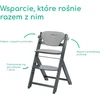 Bebe Confort Bebeconfort medinė maitinimo kėdutė Timba 2 su pagalvėle iki 110 kg, 2740440210