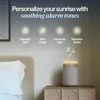 Blueair oro valytuvas Mini Restful su HEPASilent filtru, saulėtekio žadintuvu ir USB-C 113709