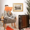Brigros alyvinis elektrinis radiatorius 2500 W, 13 sekcijų, Wi-Fi, EFU13FINS