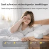BUFFBEE radijo žadintuvas su Bluetooth garsiakalbiu, FM radiju ir naktine lempute DEGS6RA