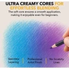 Castle Art Supplies 72 spalvotų pieštukų rinkinys su minkštu grafitu ir užsegamu dėklu CAS-72CPZ