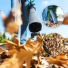 Cecotec lapų pūstuvas-siurblys su smulkinimu, 3300 W, A01_EU01_108031