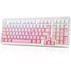 DAREU mechaninė klaviatūra su Bluetooth, 2,4 GHz, USB-C, RGB ir 98 klavišais Ek98pro