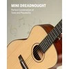Donner 3/4 Dydžio akustinė gitara pradedantiesiems