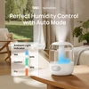 DREO ultragarsinis oro drėkintuvas 3 l, 29 W, DR-HHM006