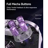 EasySMX belaidis žaidimų pultas su RGB, Hall joystick ir įkrovimo stotele D10, suderinamas su PC, Switch, Android, iOS (violetinis)