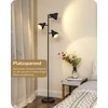 EDISHINE grindų lempa, 163 cm, 3 lemputės, juoda, E27 LED, reguliuojama, metalinė, DHLFL03E1