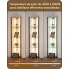 EDISHINE grindų lempa su 4 stiklinėmis lentynomis, 20 W LED, šviesos reguliavimas, ST-F31048