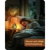 EDISHINE stalinė lempa boho stiliaus, pintas popierinis gaubtas, E14, LED 4 W, 29 cm