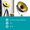 EGLO grindų lempa, 60 W, E27, juoda, žalvario ir aukso spalvų, 164 cm, 49618