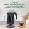 Emerio elektrinis virdulys 1,7 l, nerūdijantis plienas, reguliuojama temperatūra, WK-132229