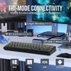 EPOMAKER F65 65% mechaninė tri-režimo RGB klaviatūra, juoda