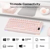 Epomaker mechaninė belaidė žaidimų klaviatūra RGB, 75% ANSI, 80 klavišų, TFT ekranas, Hot-Swap, Silent Cotton Candy, rožinė, EA75 MAX