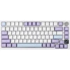 EPOMAKER mechaninė klaviatūra AK820 Pro 75% su TFT ekranu, Bluetooth 5.1 ir RGB apšvietimu