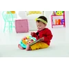 Fisher-Price muzikinė edukacinė knygelė vaikams nuo 6 mėn. CDH49