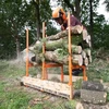 Forest Master rąstų pjovimo ožys 250 kg su trimis savaiminio fiksavimo grandinėmis BLS-3H