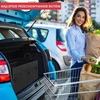 GADLANE automobilio bagažinės organizatorius, sulankstomas, nailoninis, 50 × 38 × 26 cm, GLLBO01