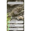 GardePro laukinių gyvūnų stebėjimo kamera su Wi-Fi, 8000 mAh akumuliatoriumi, 64 MP, naktinis matymas, E8P