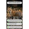 GardePro laukinių gyvūnų stebėjimo kamera su Wi-Fi, 8000 mAh akumuliatoriumi, 64 MP, naktinis matymas, E8P