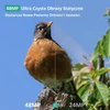 GardePro miško kamera E6 su Wi-Fi, 64 MP, 1296p vaizdo įrašymu ir 940 nm infraraudonaisiais