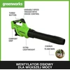 Akumuliatorinis lapų pūstuvas Greenworks GD40ABIIK2X; 40 V; 2x2,0 Ah akum.