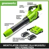 Greenworks akumuliatorinis lapų pūstuvas 217 km/h su 2 x 24 V 2 Ah akumuliatoriais, 01-0002405007UC