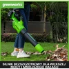 Greenworks akumuliatorinis lapų pūstuvas 217 km/h su 2 x 24 V 2 Ah akumuliatoriais, 01-0002405007UC