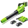 Greenworks akumuliatorinis lapų pūstuvas 217 km/h su 2 x 24 V 2 Ah akumuliatoriais, 01-0002405007UC