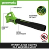 Akumuliatorinis lapų pūstuvas Greenworks G24AB; 24 V (be akumuliatoriaus ir pakrovėjo)