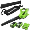 Greenworks lapų pūstuvas-siurblys 40 V su smulkinimo funkcija ir 2 x 2 Ah akumuliatoriais GD40BVK2X