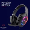 GXTrust žaidimų ausinės su mikrofonu, laidinės 3,5 mm, 50 mm, LED, GXT 419 Rayne