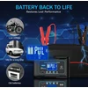 Haisito automobilių akumuliatorių įkroviklis 12 V/24 V, 20 A, LiFePO4 B0FR4V579L