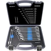 HASKYY reketinių kombinuotų raktų rinkinys 8–19 mm, 12 vnt., CRSS12T-15