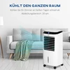 HOMCOM mobilus oro kondicionierius su nuotoliniu valdymu, 60 W, 10 l talpa, 20 m², 824-037V90