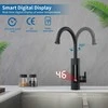 HOMELODY elektrinis virtuvinis maišytuvas su vandens šildytuvu, 3000 W, LED ekranas, juodas, E39032101