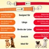 Hundefreund daugiafunkcis šuns pavadėlis 6 viename, reguliuojamas 1,2–3 m