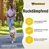 Hundefreund laisvų rankų elastingas pavadėlis šunims su bėgimo diržu 120–180 cm 5P-SSB6-R7TE