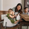 Ingenuity paaukštinama maitinimo kėdutė Baby Base 2 viename su nuimamu padėklu, 10678