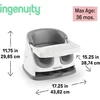Ingenuity paaukštinama maitinimo kėdutė 2 viename su nuimamu padėklu 11576