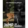 iZEEKER medžioklinė kamera IP66, 32 MP, naktinis matymas, judesio jutiklis, iG200