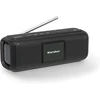 Karcher nešiojamasis Bluetooth garsiakalbis su DAB+ ir FM radiju, 5 W, DAB Go