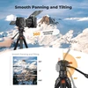 K&F CONCEPT aliumininis foto ir vaizdo trikojis su skystine galvute 185 cm KF09.172