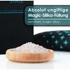 Sausintuvas King Kong State automoblio drėgmės surinkėjai, 4x 500g daugkartinės silicio gelio pagalvėlės