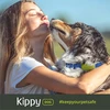 Kippy GPS sekiklis šunims ir katėms, atsparus vandeniui, su 4G LTE-M, žalias