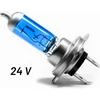 LIGHTWORLD24 H7 halogeninės lemputės 24 V 70 W Px26d 6000 K LW-H7XW70W24V