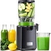 LINKChef lėtaeigė sulčiaspaudė, 250 W, 1,8 l talpa, 130 mm anga, be BPA