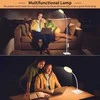 Mojimdo pastatoma LED lempa su nuotoliniu valdymu, 3 šviesos spalvos, 10 ryškumo lygių, FLD631RF-BK