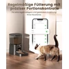 oneisall automatinė kačių šėrykla su Wi-Fi, 3,5 l, valdoma programėle, PFD-001