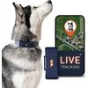PAJ GPS gyvūnų GPS seklys, 4G, atsparus vandeniui, baterija iki 10 dienų, PET Finder 4G - blauw